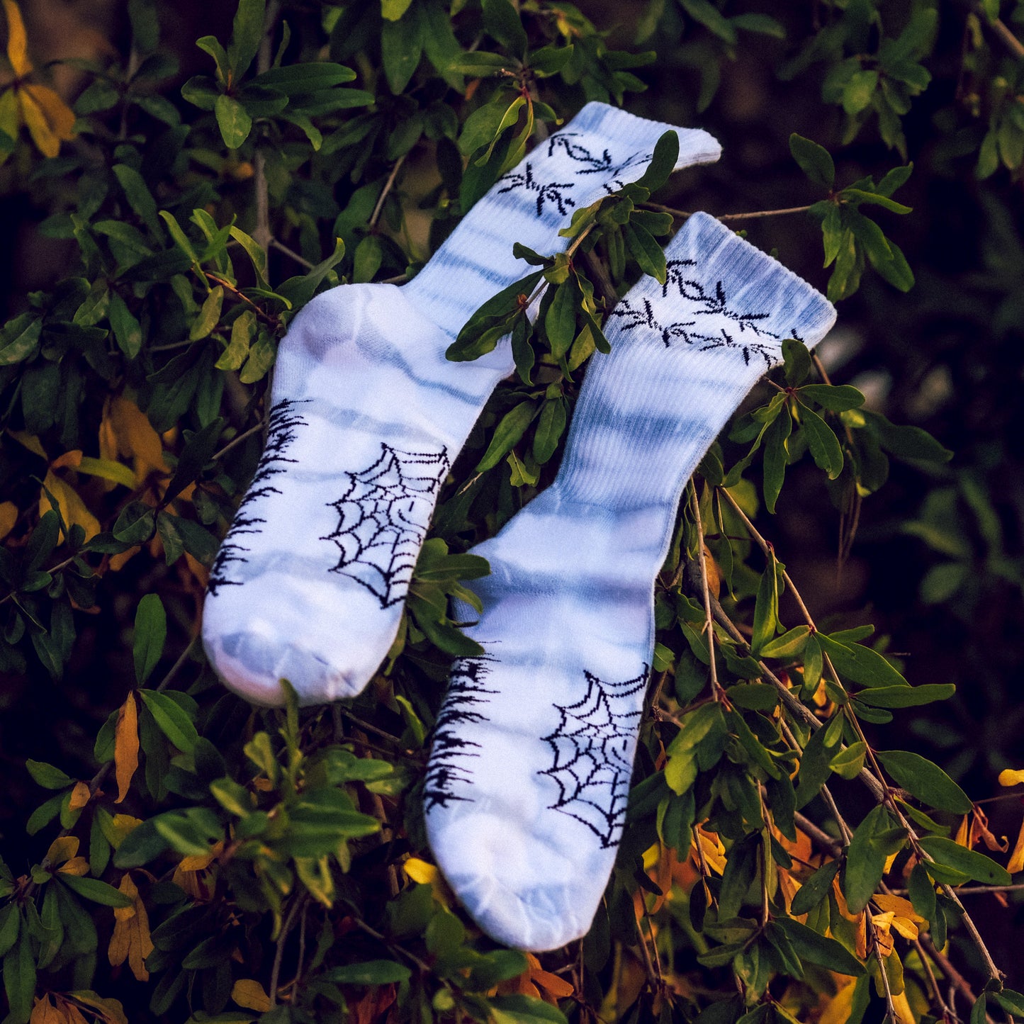 CREW SOCKS