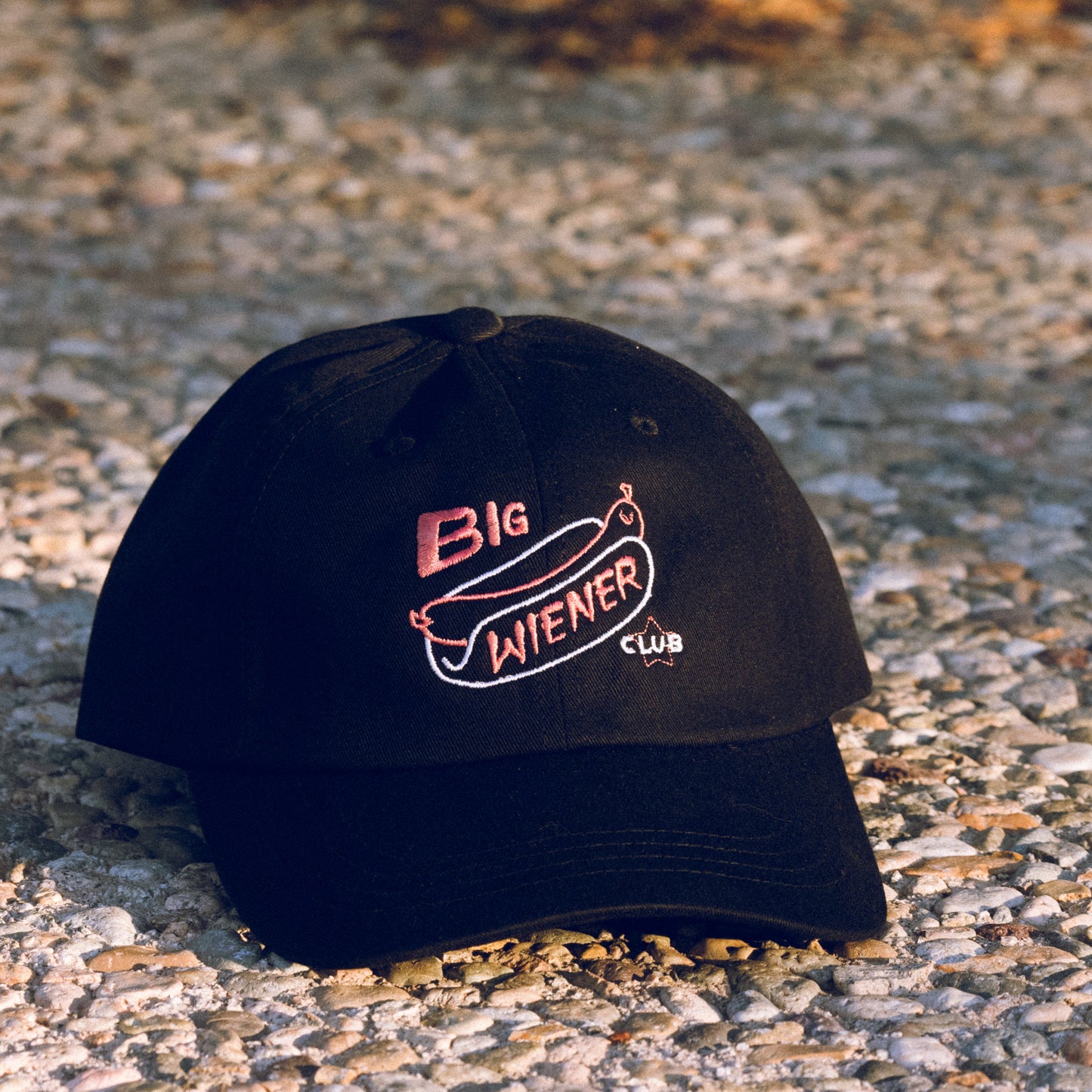 BIG WIENER CLUB HAT